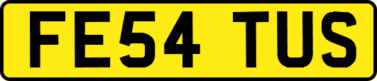 FE54TUS