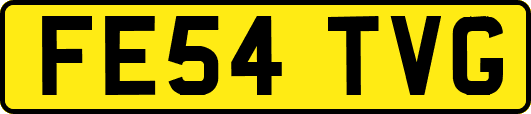 FE54TVG