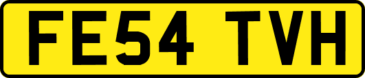 FE54TVH
