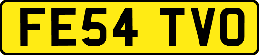 FE54TVO