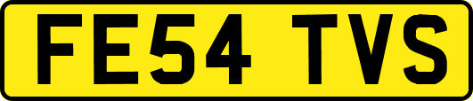 FE54TVS