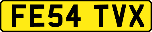 FE54TVX