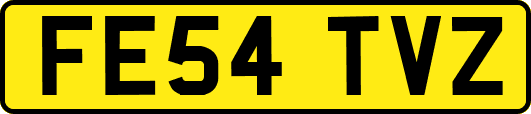 FE54TVZ