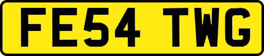 FE54TWG