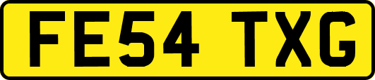 FE54TXG