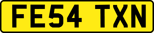 FE54TXN