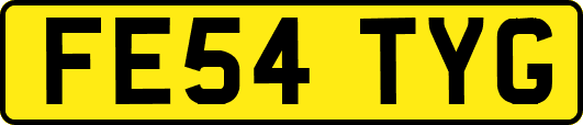 FE54TYG