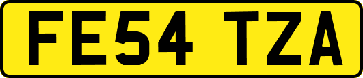 FE54TZA