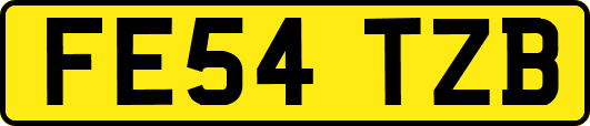 FE54TZB
