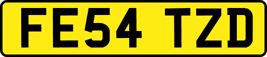 FE54TZD
