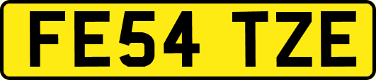 FE54TZE