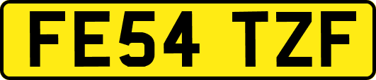 FE54TZF