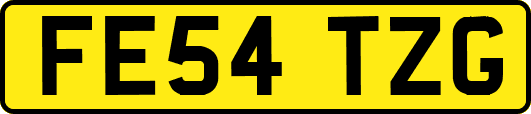 FE54TZG