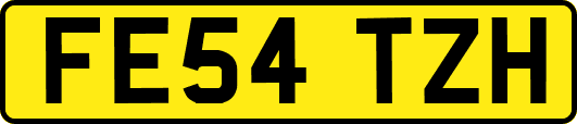 FE54TZH