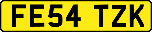 FE54TZK