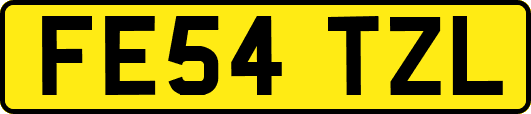 FE54TZL