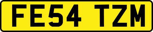 FE54TZM