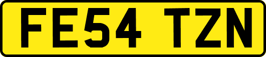 FE54TZN