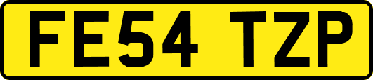 FE54TZP