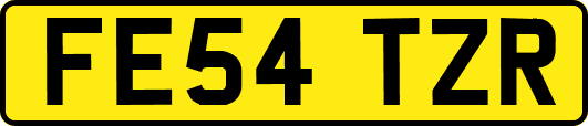 FE54TZR