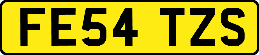 FE54TZS