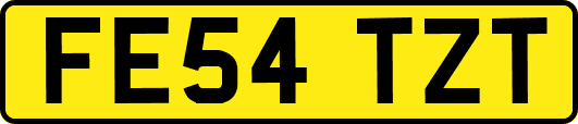 FE54TZT