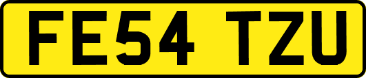 FE54TZU