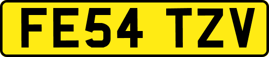 FE54TZV