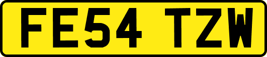 FE54TZW