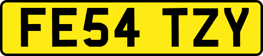 FE54TZY