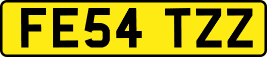 FE54TZZ