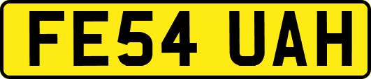 FE54UAH