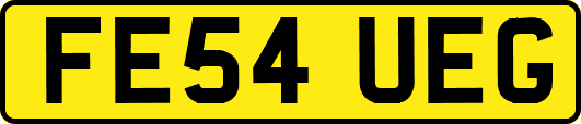 FE54UEG