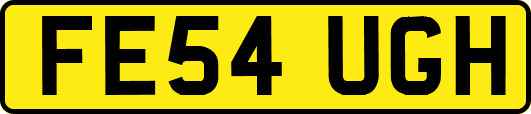 FE54UGH