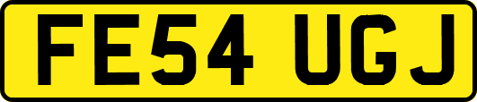 FE54UGJ