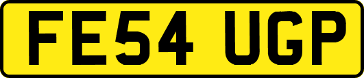 FE54UGP