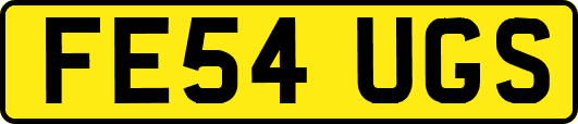 FE54UGS