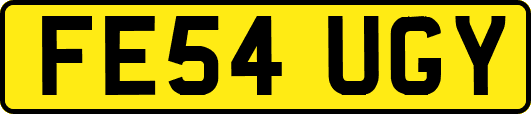 FE54UGY