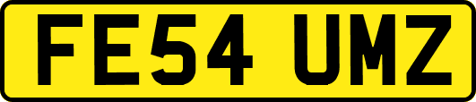 FE54UMZ