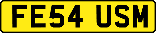 FE54USM