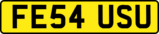 FE54USU
