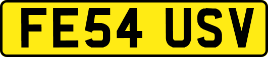 FE54USV