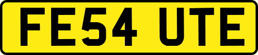 FE54UTE