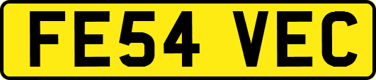 FE54VEC