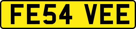 FE54VEE