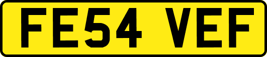 FE54VEF