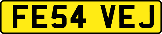 FE54VEJ