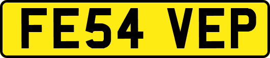 FE54VEP