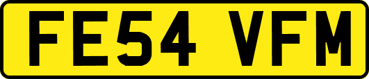 FE54VFM