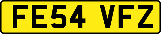 FE54VFZ